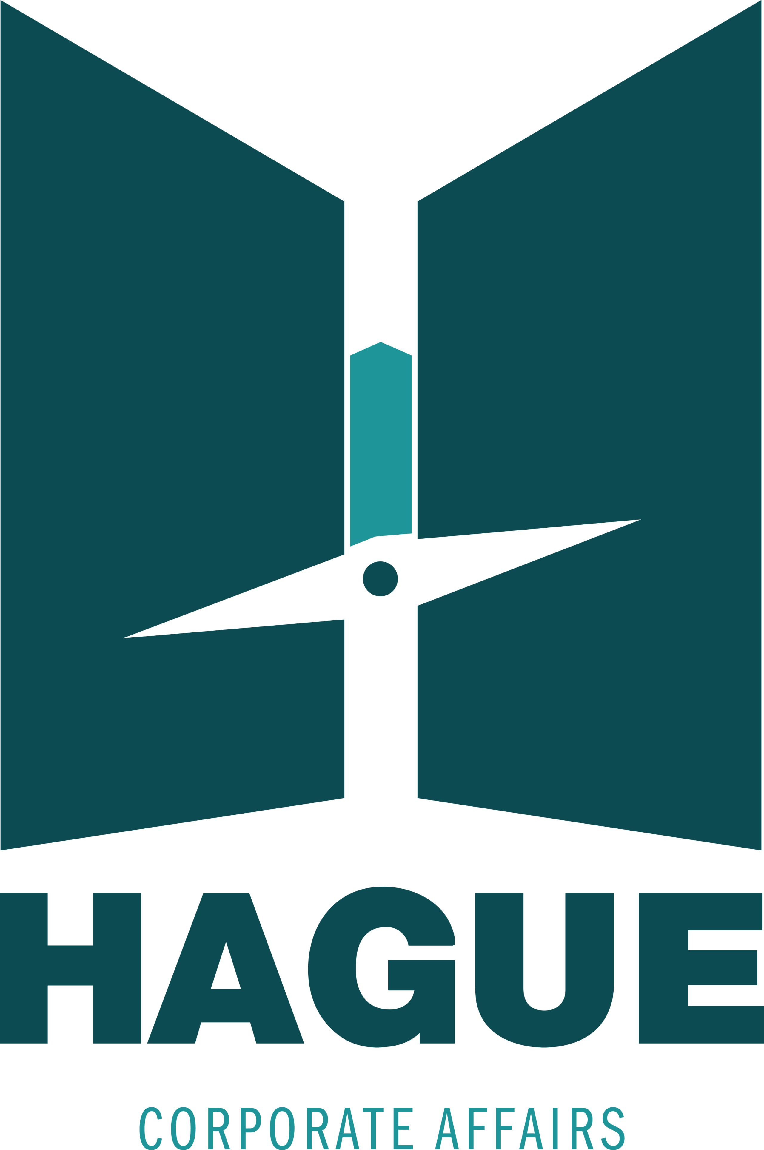 Hague Corporate Affairs Logo